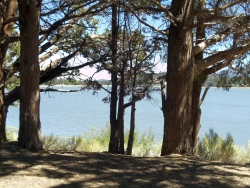 Scenic view of Big Bear Lake in spring